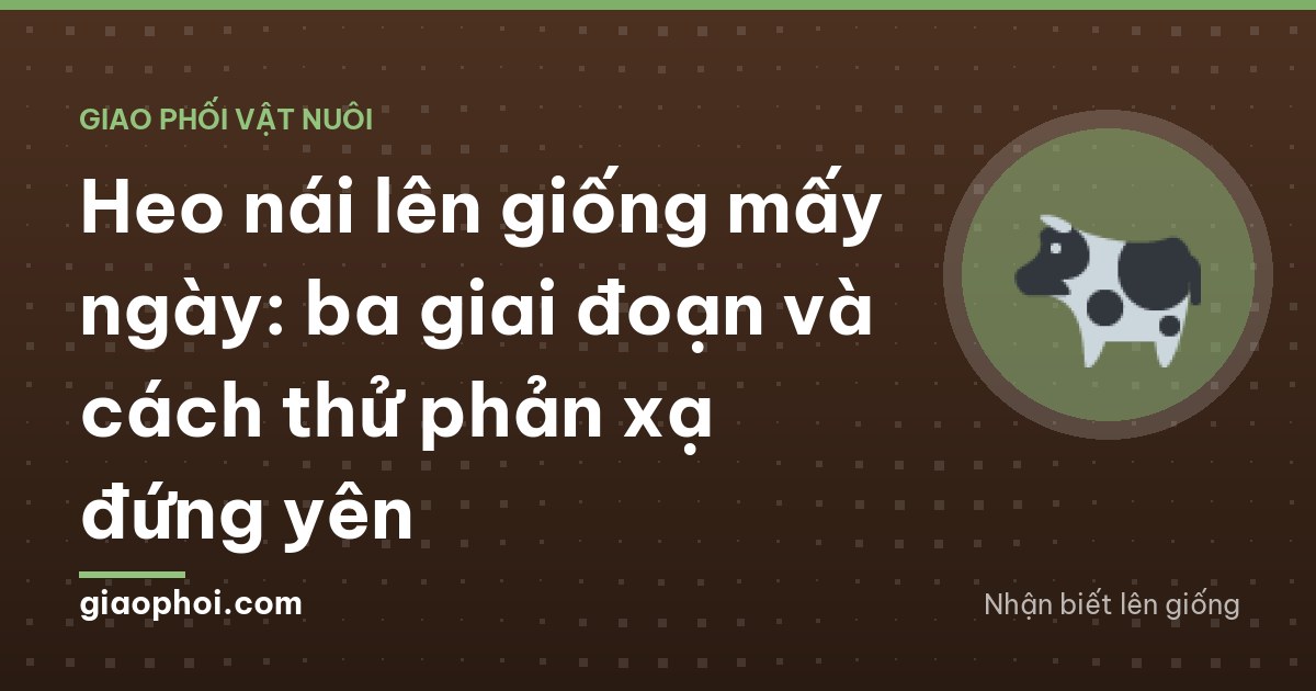 A farmer seen from behind pressing both hands on the back of a sow in a clean concrete pen in Dong Thap, sow standing rigid with ears pricked, morning light